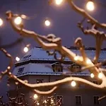 Frogner House - Skovveien 8